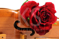 Rote Rose und Geige